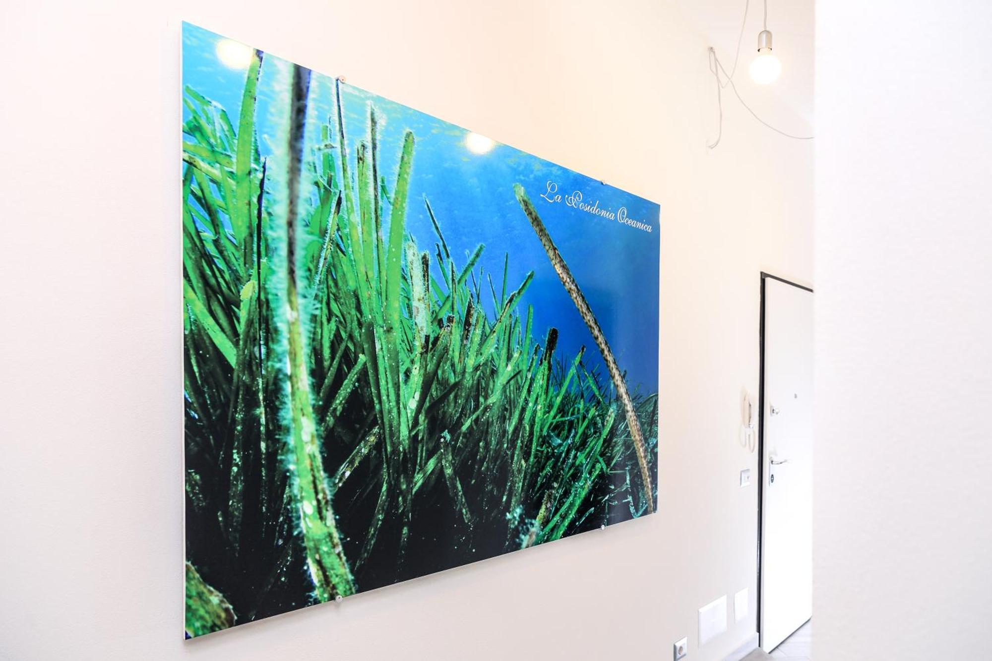 阿尔盖罗La Posidonia Oceanica住宿加早餐旅馆 外观 照片
